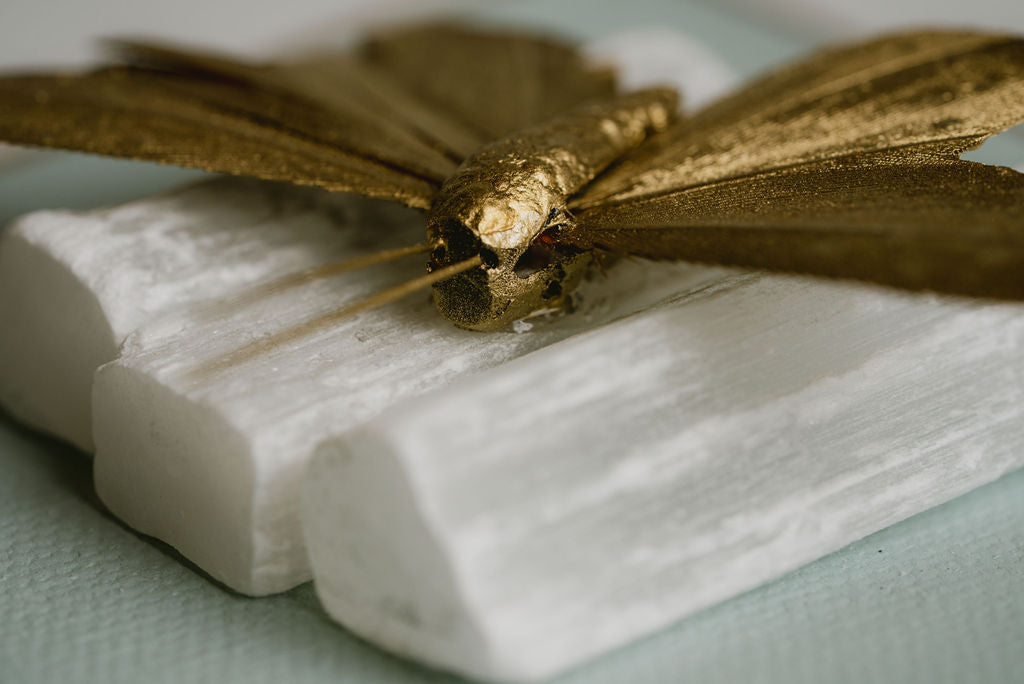 Butterfly on Selenite Wall Art – Small Decorative Piece with Charm and Sophistication