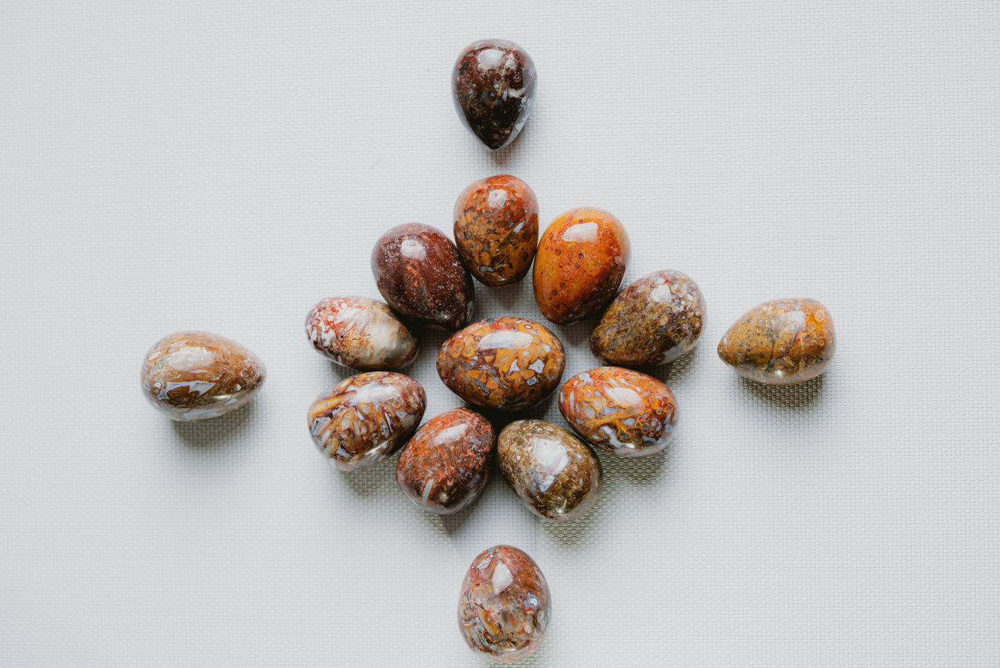 Fossilized Palm Root Egg Pocket Crystal – Ancient Stone for Grounding, Protection, and Inner Strength
