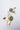 Timeless-and-Conscious-Jewelry-for-Women