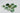 Palm-Stone – Abundance-and-Positive-Energy