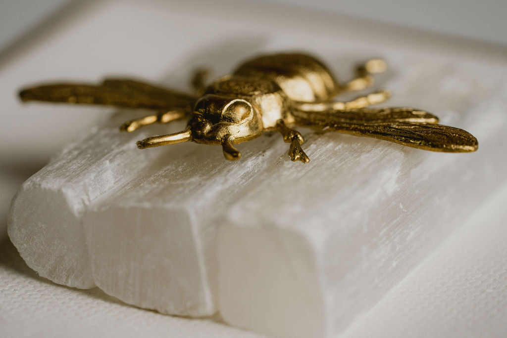 Honey Bee Wall Art – Natural Elegance on Canvas with Crystals