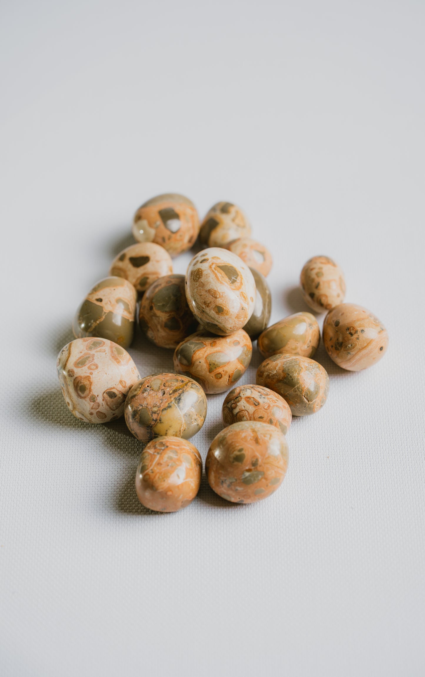 Leopard Skin Jasper Pocket Crystal – Stone of Strength, Protection, and Earth Connection