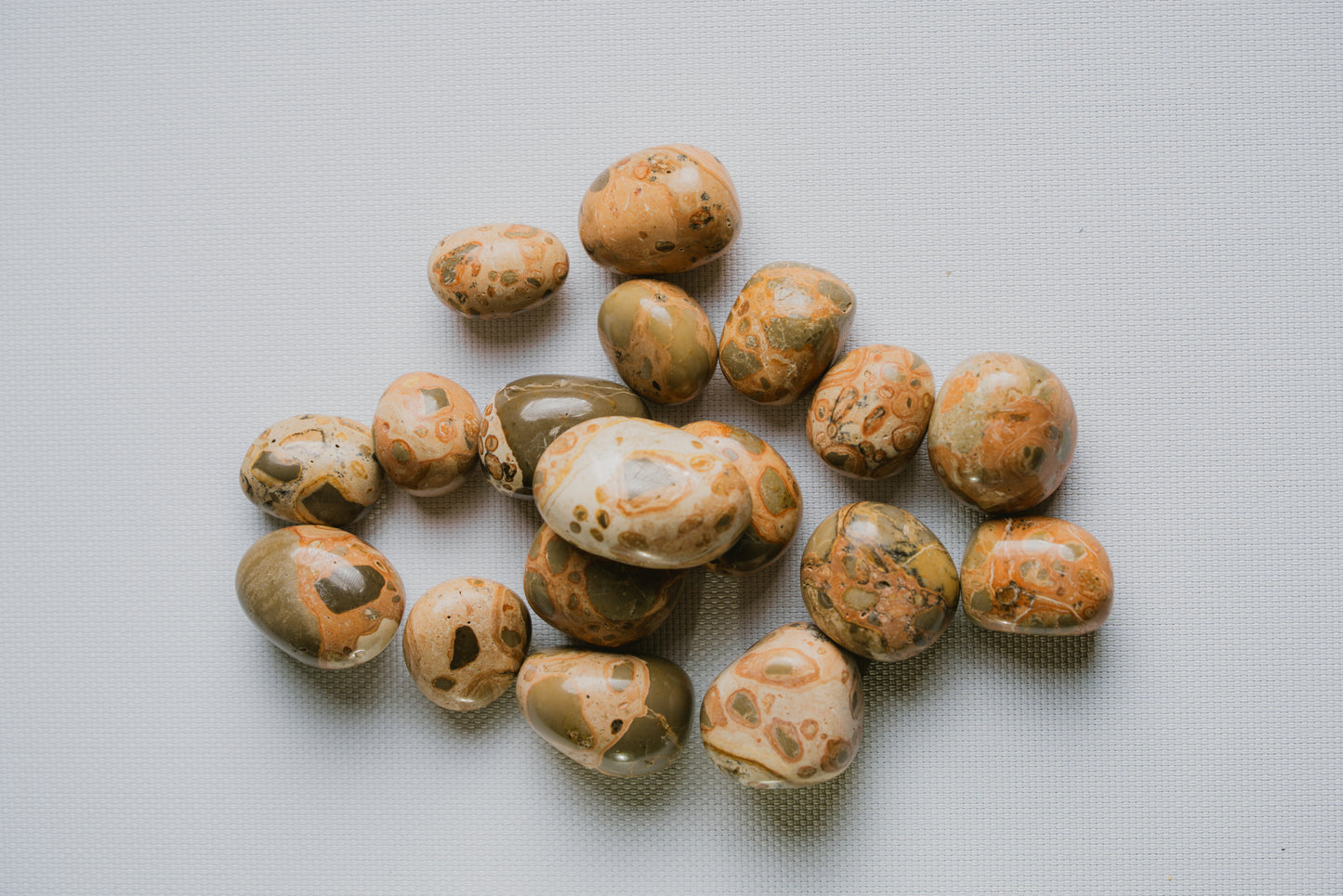 Leopard Skin Jasper Pocket Crystal – Stone of Strength, Protection, and Earth Connection