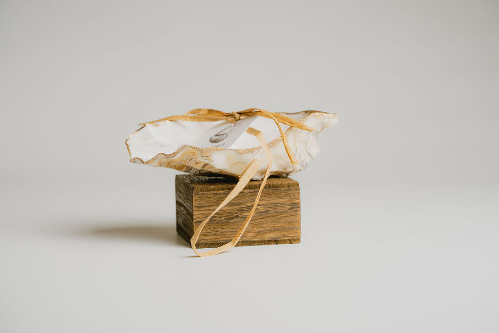 Decorative Shell-Shaped-Dish-for-Rings-and-Small-Treasures