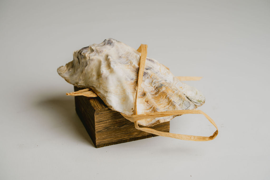 Oyster Shell Ring Dish – Decorative Shell-Shaped Dish for Rings and Small Treasures