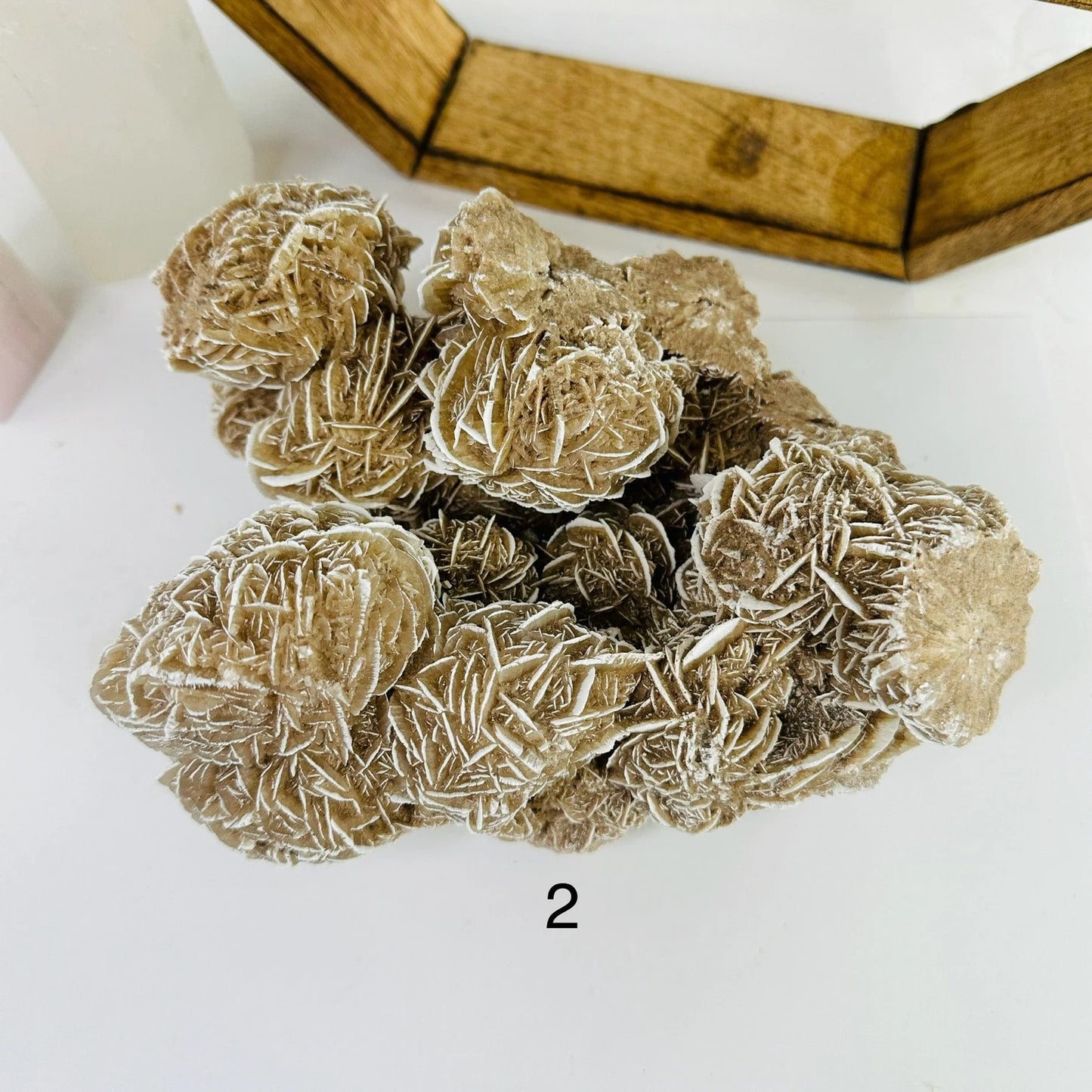 Sahara Bloom – Desert Rose Gypsum Cluster for Grounding and Mental Clarity
