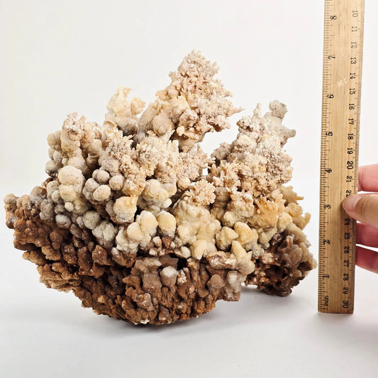 Desert Bloom – Aragonite and Cave Calcite Cluster for Grounding and Natural Clarity