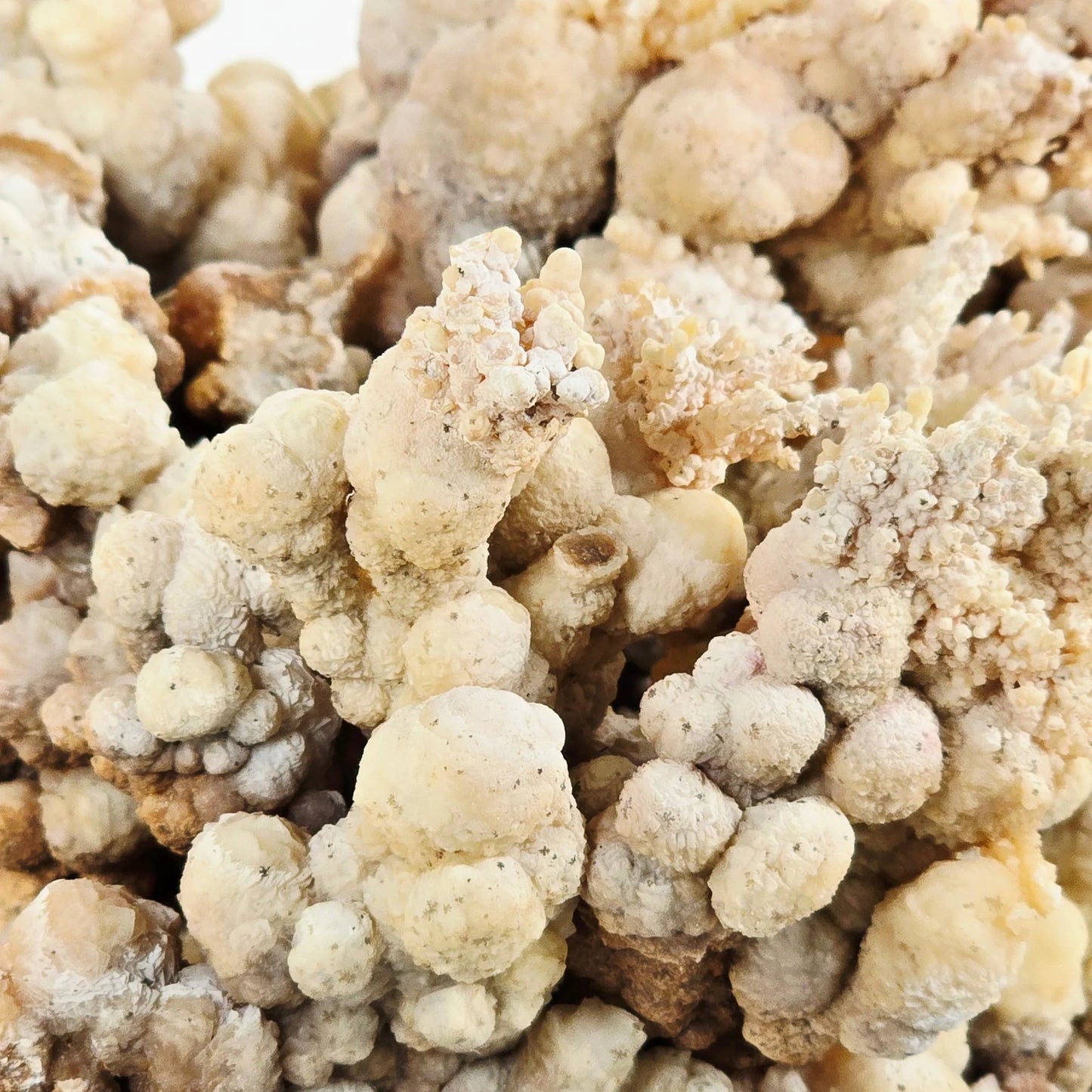 Desert Bloom – Aragonite and Cave Calcite Cluster for Grounding and Natural Clarity