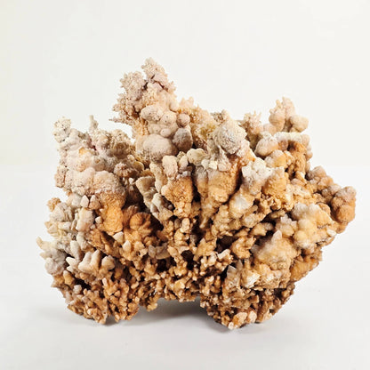Desert Bloom – Aragonite and Cave Calcite Cluster for Grounding and Natural Clarity