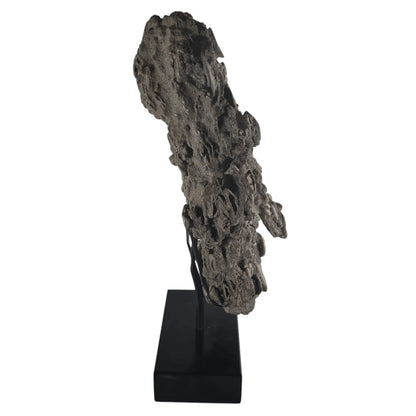 Ancient Tide Heliophora Fossil Cluster – Decorative Stand for Coastal Spaces and Collectors