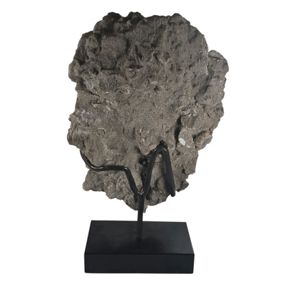 Ancient Tide Heliophora Fossil Cluster – Decorative Stand for Coastal Spaces and Collectors