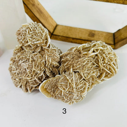 Sahara Bloom – Desert Rose Gypsum Cluster for Grounding and Mental Clarity