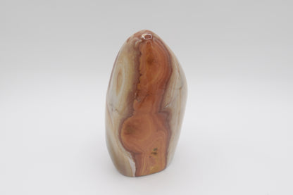 Polychrome Free Form – Decorative Polychrome Jasper for Stability and Earth Connection
