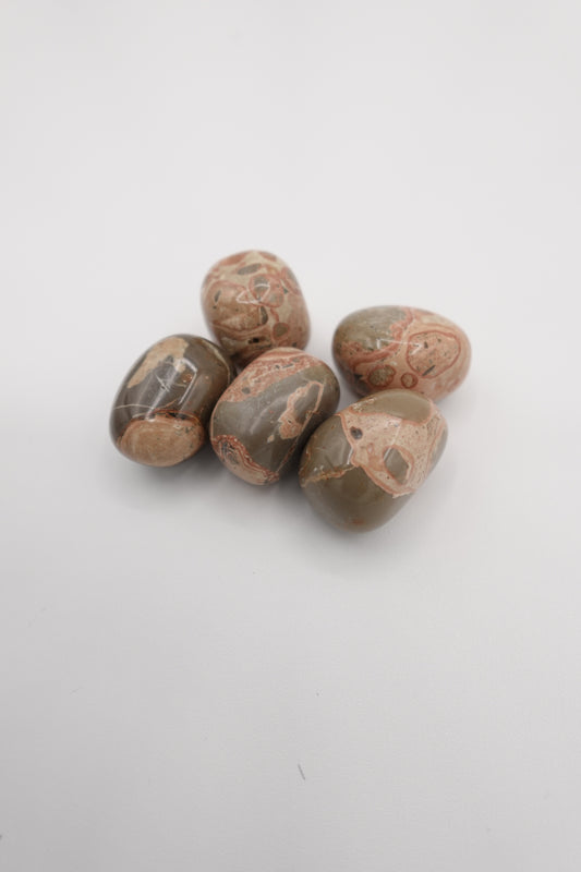 Leopard Skin Jasper Pocket Crystal