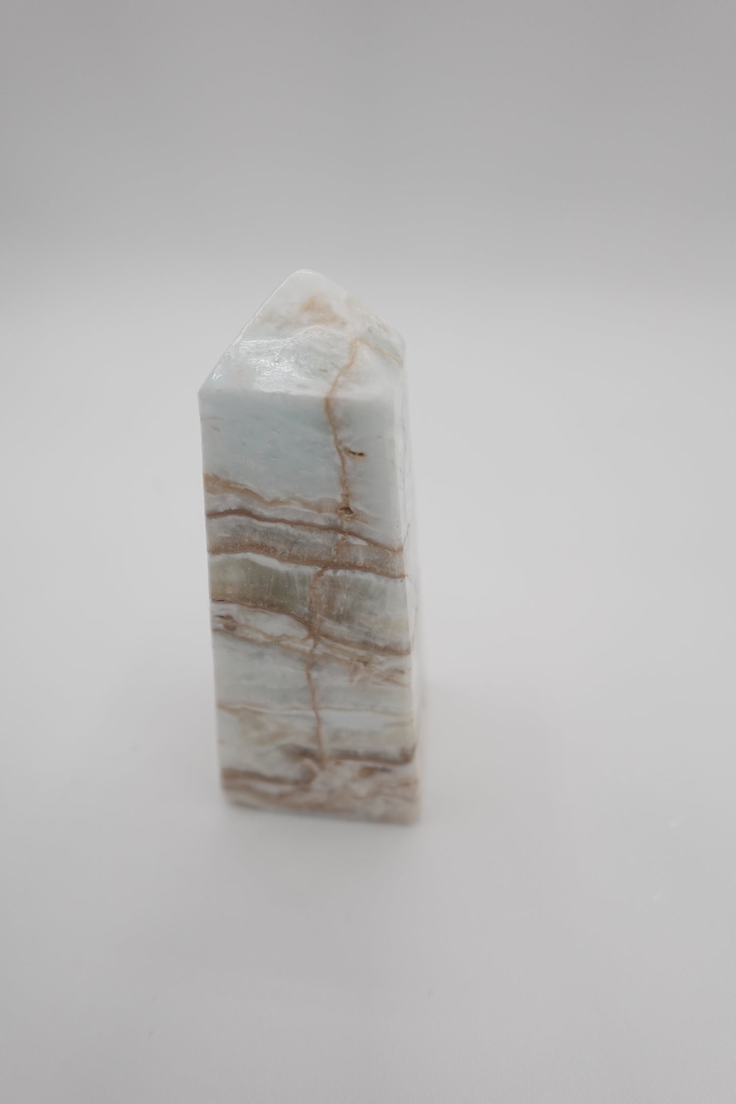 Caribbean Calcite Aragonite Tower (Medium)