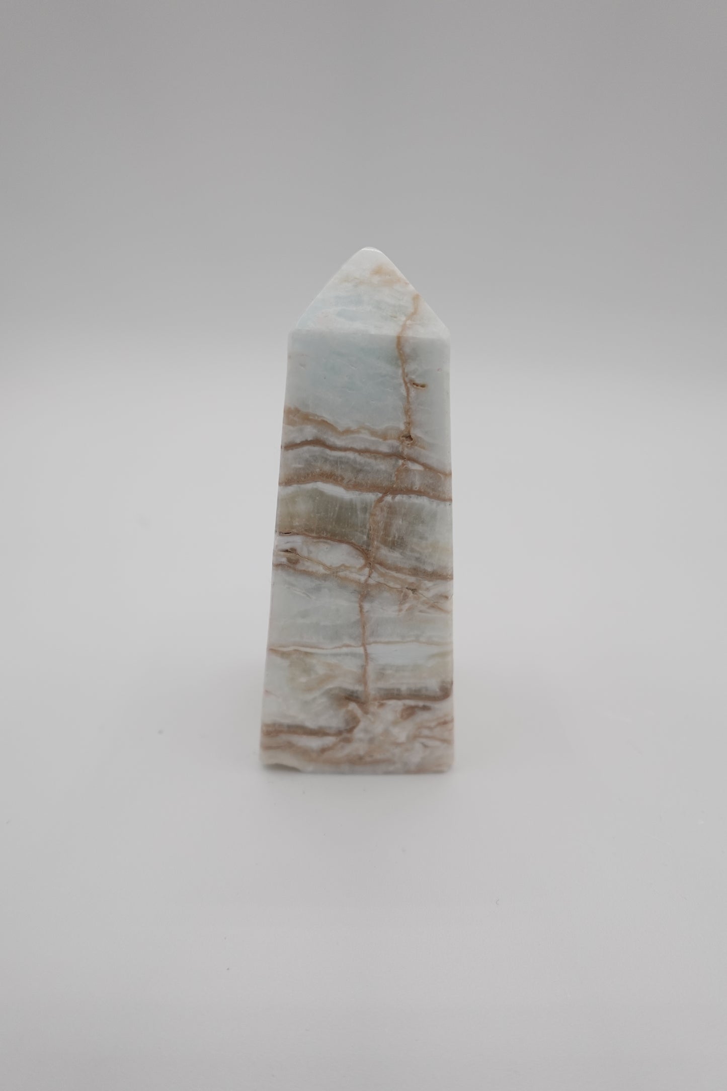 Caribbean Calcite Aragonite Tower (Medium)