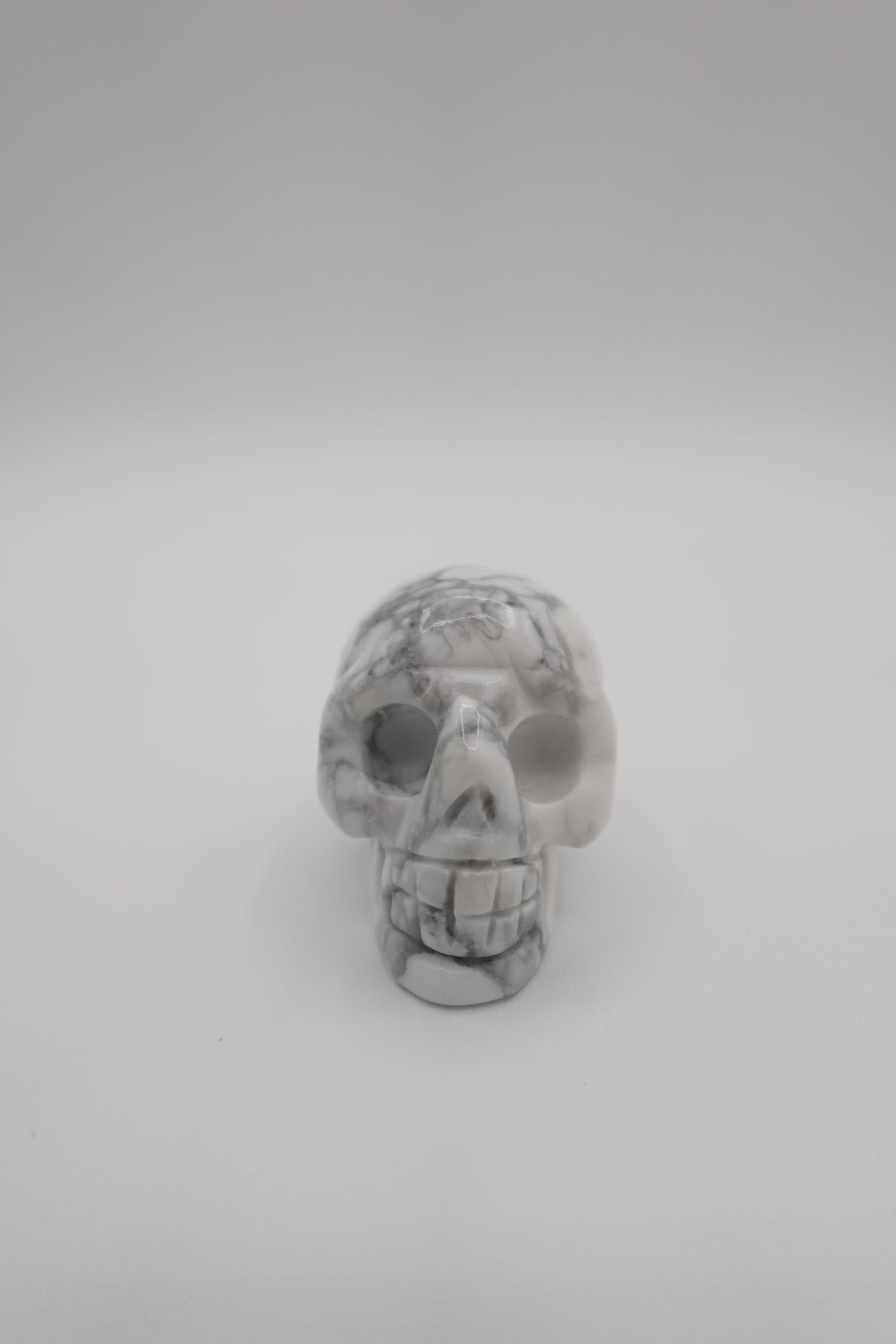 Howlite Skull