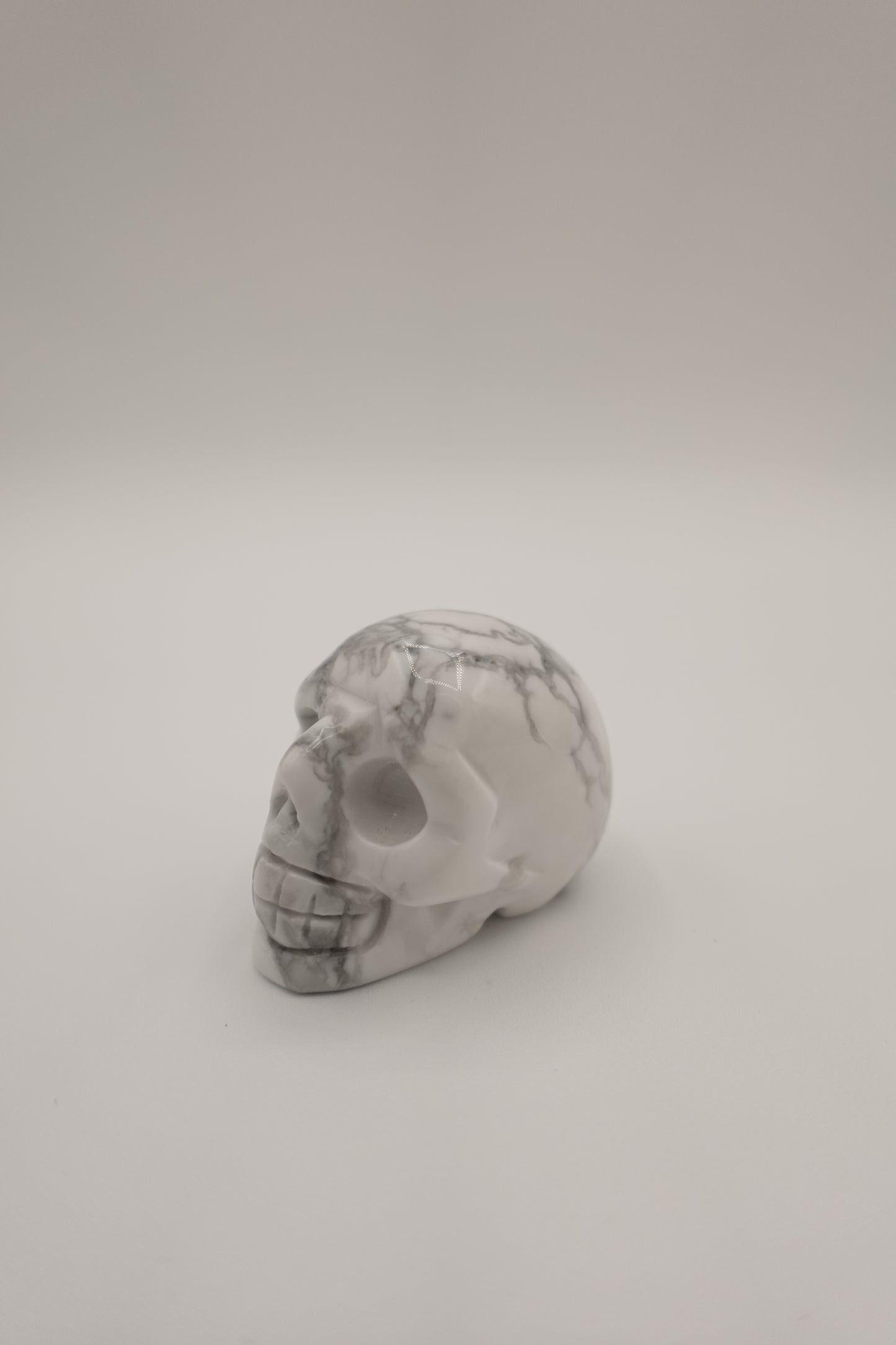 Howlite Skull