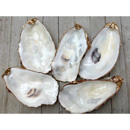 Oyster Shell Ring Dish