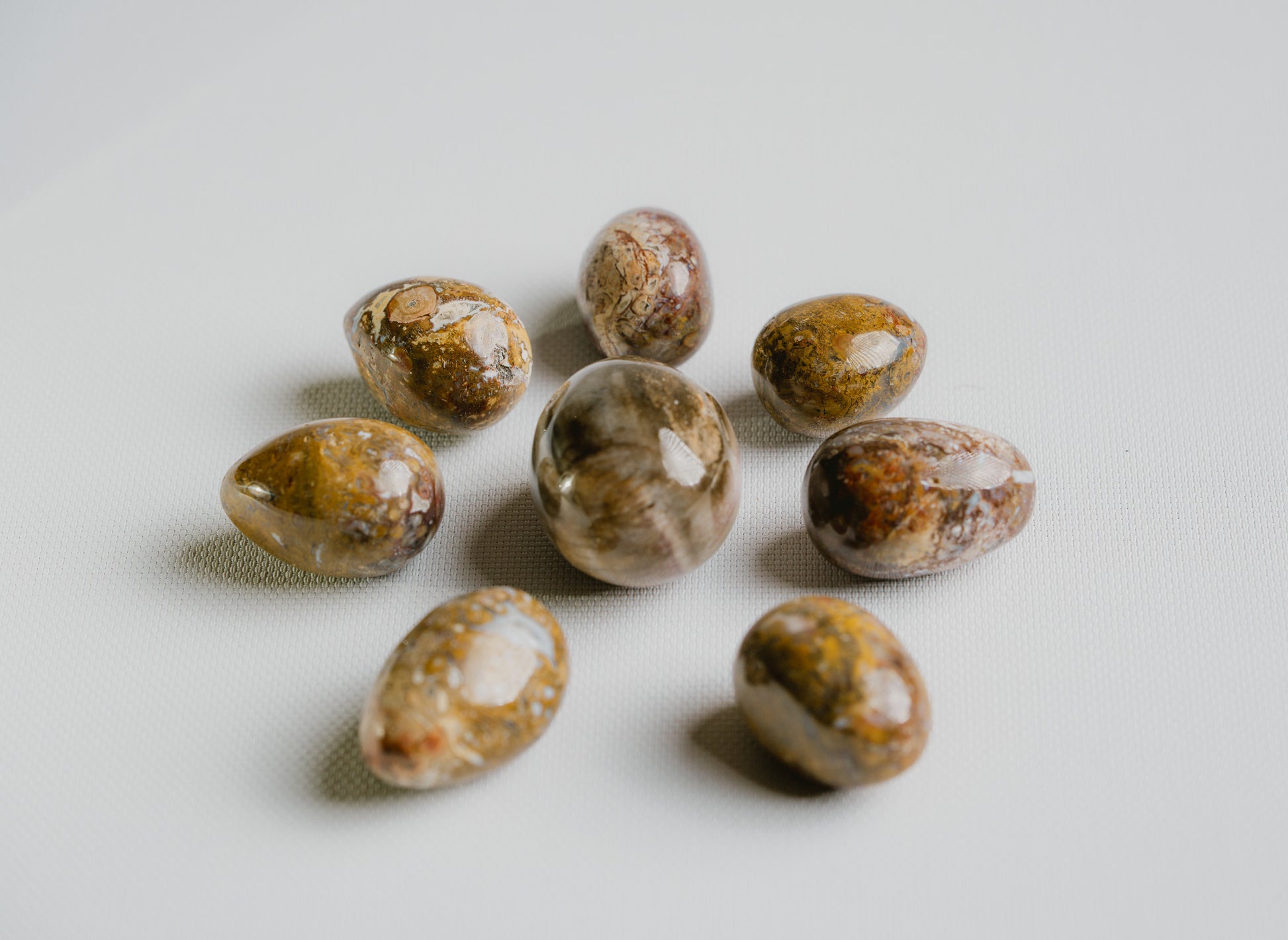 Rare-Fossil-for-Ancestral-Connection-and-Organic-Beauty
