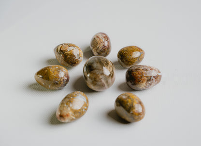 Rare-Fossil-for-Ancestral-Connection-and-Organic-Beauty