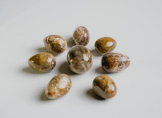 Rare-Fossil-for-Ancestral-Connection-and-Organic-Beauty