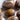 Agatized Moth Carapace Stone Egg Pocket Crystal – Rare Fossil for Ancestral Connection and Organic Beauty