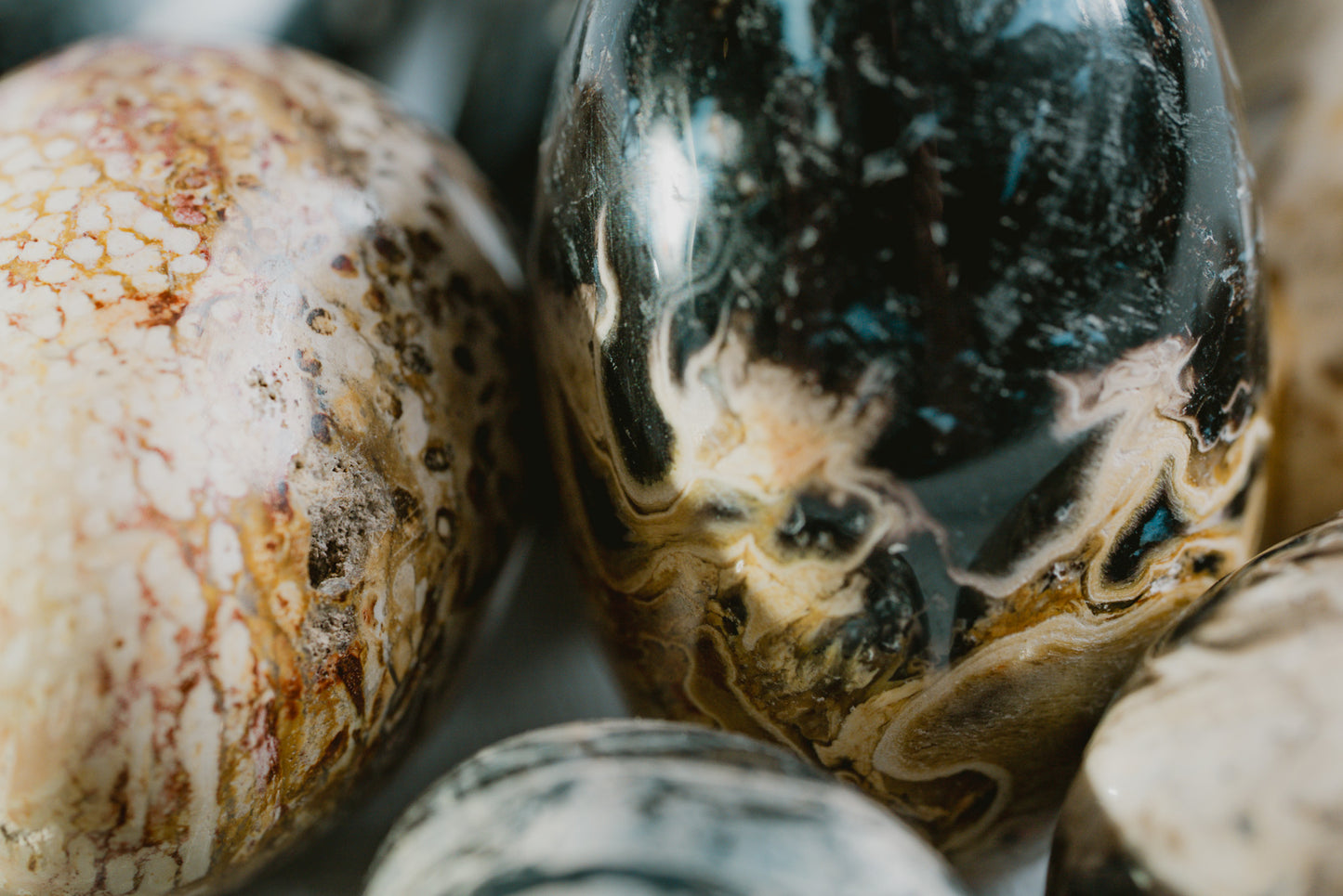 Agatized Moth Carapace Stone Egg Pocket Crystal – Rare Fossil for Ancestral Connection and Organic Beauty