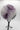 Decorative-Sphere-for-Peace-Clarity-and-Spiritual-Protection