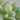 Pocket-Crystal – Tranquility-and-Natural-Softness