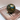 Decorative-Sphere-for-a-Sophisticated-and-Natural-Touch