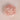 Rose-Quartz-Flower-for-Love-and-Harmony