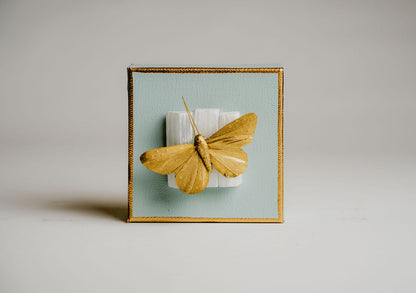 Butterfly on Selenite Wall Art – Small Decorative Piece with Charm and Sophistication