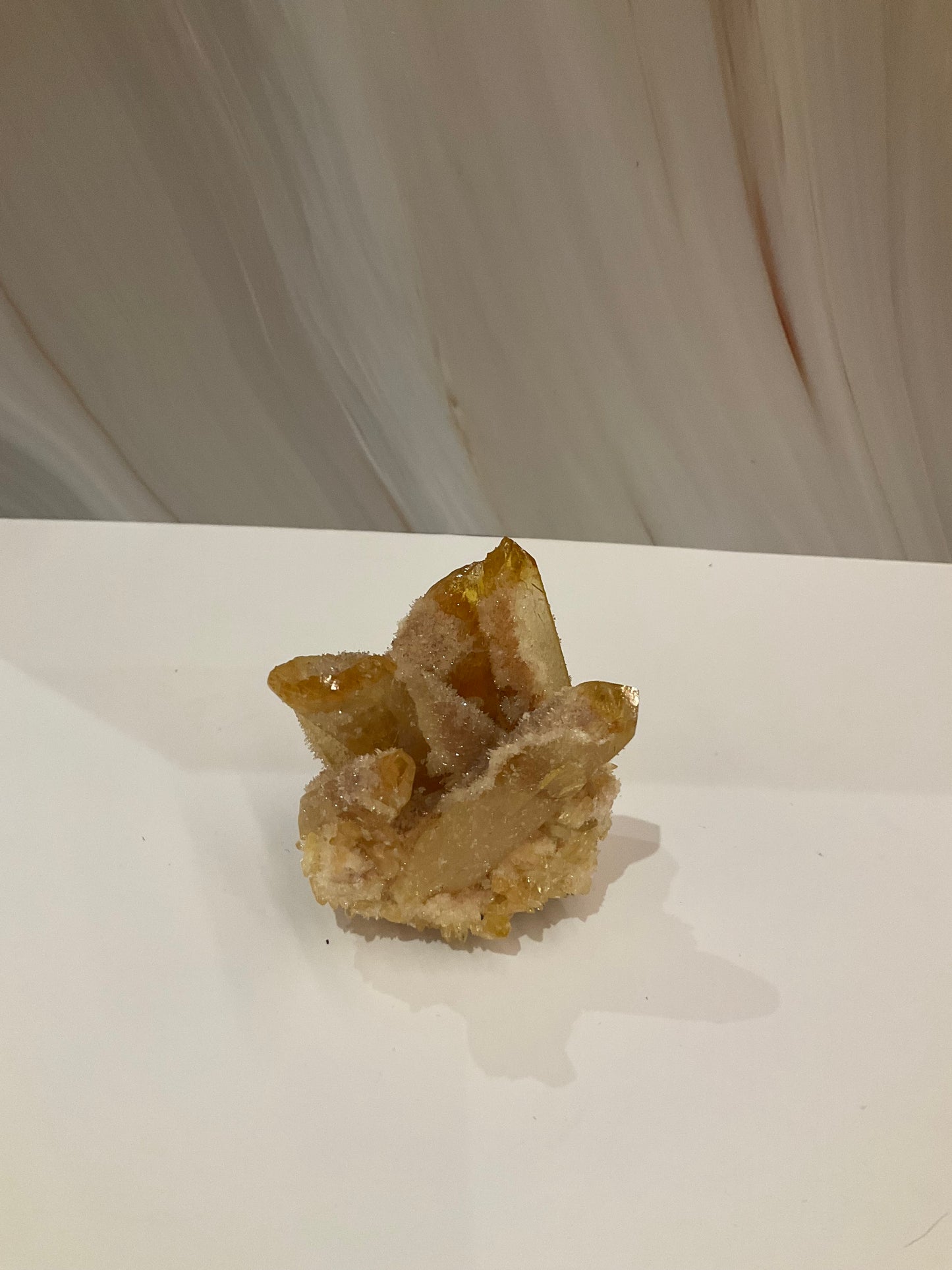 Vitality-Transformation-and-Subtle-Elegance