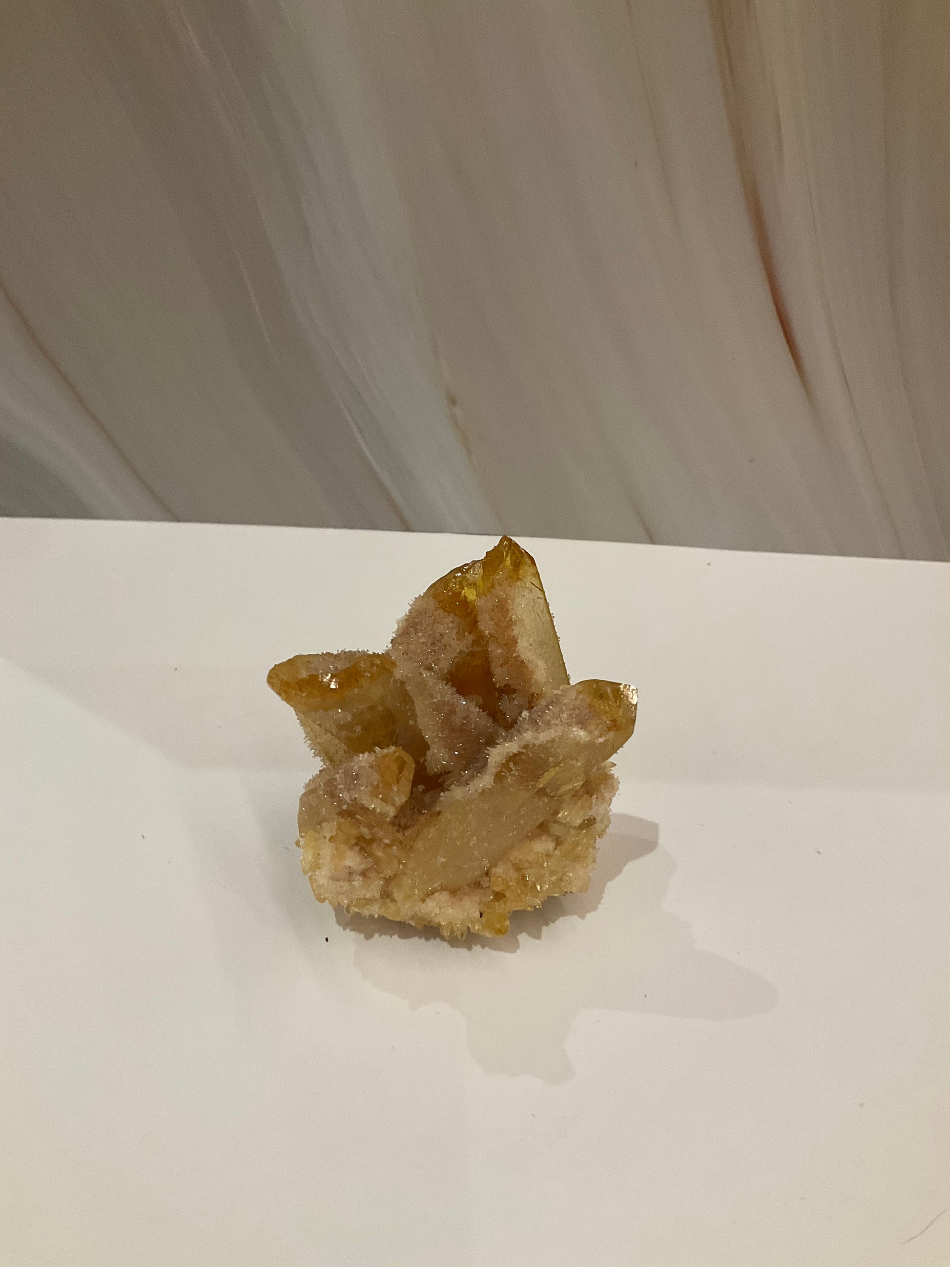 Vitality-Transformation-and-Subtle-Elegance