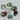 Fluorite Disc – Multicolored Mineral for Focus, Protection, and Visual Harmony