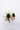 Radiant-and-Energetic-Jewelry-for-Women