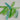 Green Aura – Titanium Green Crystal Point for Renewal and Energetic Balance