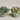 Cluster-Medium – Growth-Clarity-and-Natural-Elegance