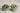 Cluster-Medium – Growth-Clarity-and-Natural-Elegance