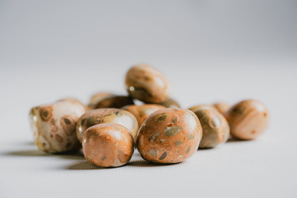 Leopard Skin Jasper Pocket Crystal – Stone of Strength, Protection, and Earth Connection