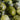 Green-Stone-for-Protection-Stability-and-Inner-Strength
