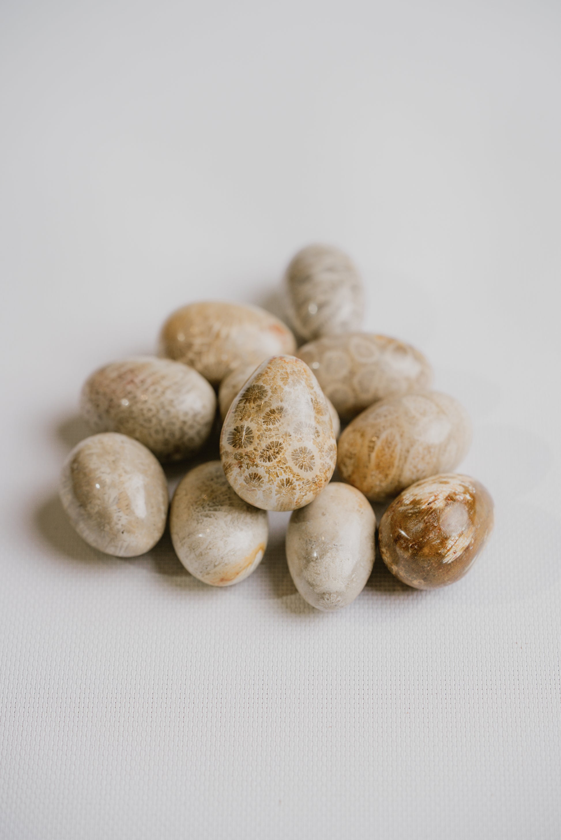 Natural-Fossil-for-Stability-Grounding-and-Earth-Connection