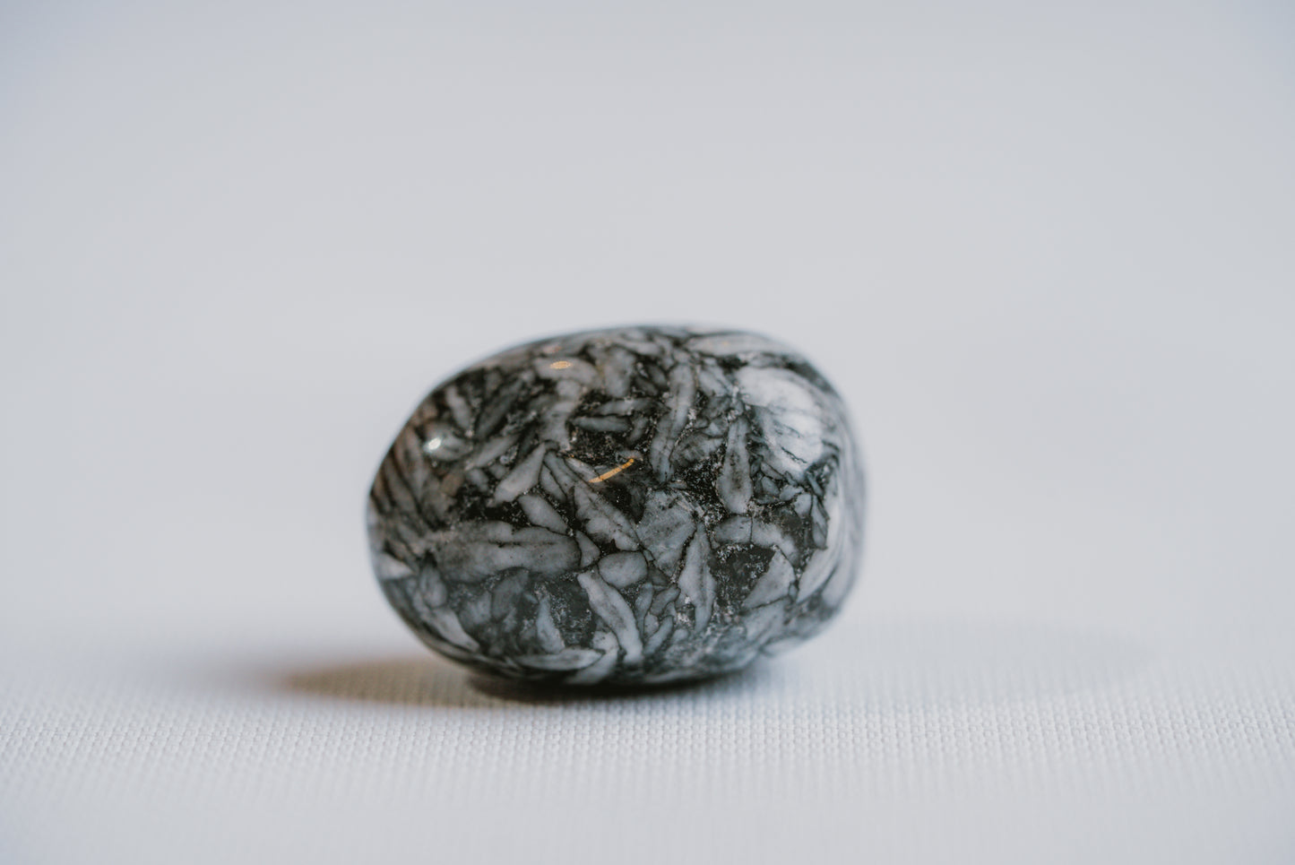 Pinolite Pocket Crystal – Metamorphic Stone for Grounding, Emotional Strength, and Focus