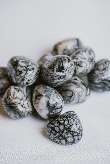Pinolite Pocket Crystal – Metamorphic Stone for Grounding, Emotional Strength, and Focus