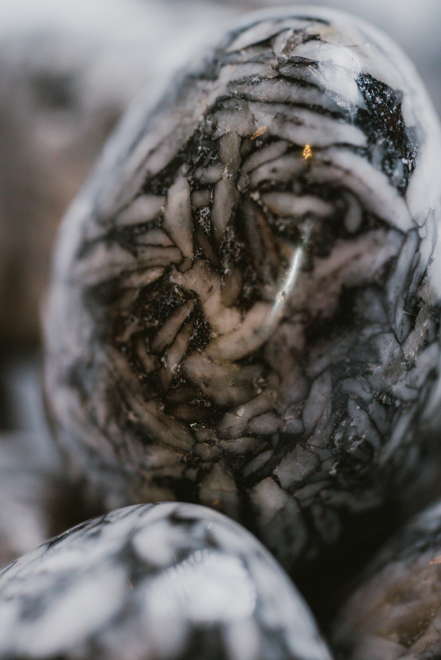 Pinolite Pocket Crystal – Metamorphic Stone for Grounding, Emotional Strength, and Focus