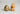 Decorative-Polychrome-Jasper-for-Stability-and-Earth-Connection