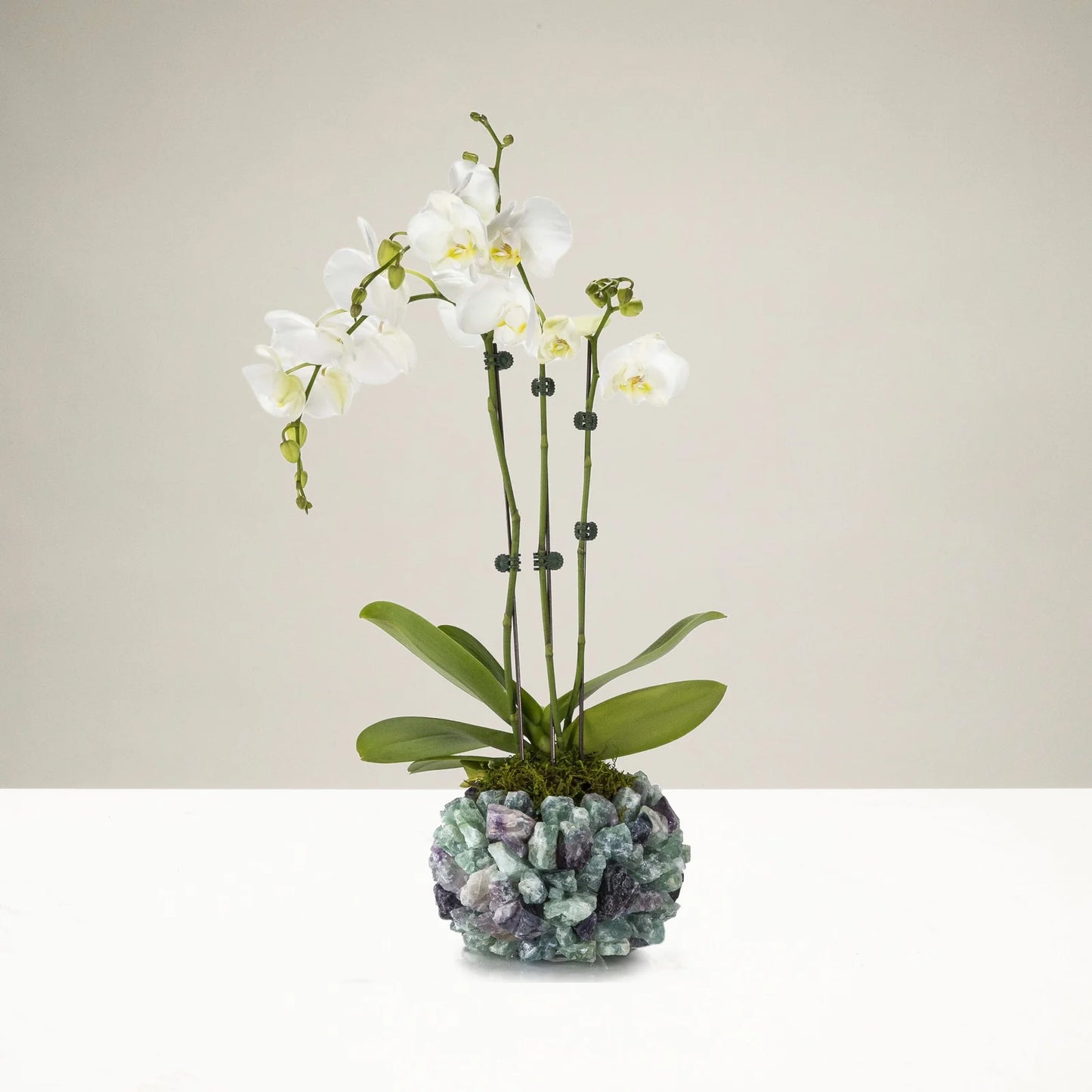 Radiant Fluorite Crystal Vase – Fluorite Vase for Energy Balance and Sophisticated Decor