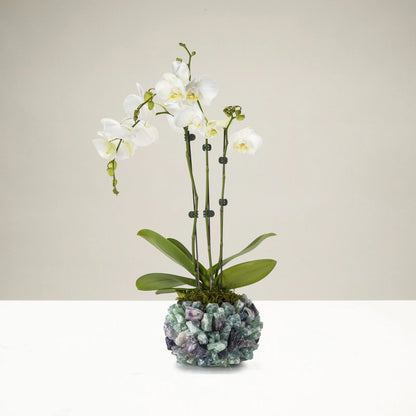 Radiant Fluorite Crystal Vase – Fluorite Vase for Energy Balance and Sophisticated Decor